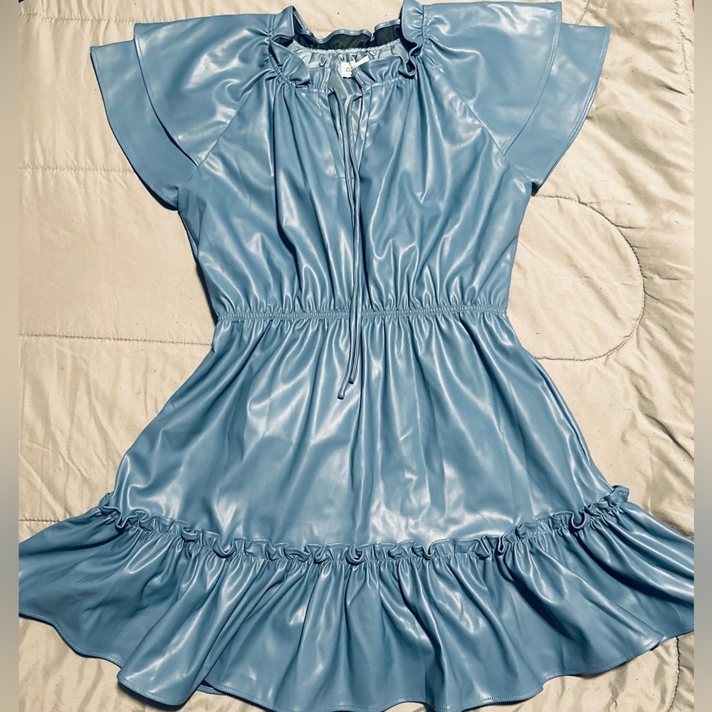 Olivia James The Label ‘Tinsley Faux Leather Dress in Topaz Leather - Size M NWT - Picture 2 of 15